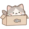 Lovely Cat Dog -