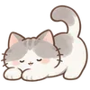 Lovely Cat Dog -