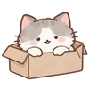 Lovely Cat Dog -