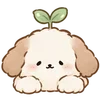 Lovely Cat Dog -
