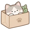 Lovely Cat Dog -