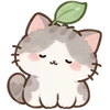 Lovely Cat Dog -