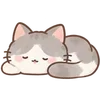 Lovely Cat Dog -