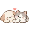 Lovely Cat Dog -