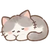 Lovely Cat Dog -