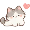 Lovely Cat Dog -