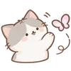 Lovely Cat Dog -