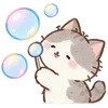 Lovely Cat Dog -