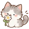 Lovely Cat Dog -