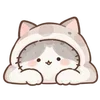 Lovely Cat Dog -