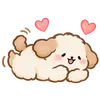 Lovely Cat Dog -