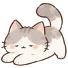 Lovely Cat Dog -