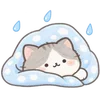 Lovely Cat Dog -
