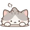 Lovely Cat Dog -