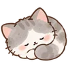 Lovely Cat Dog -