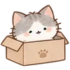 Lovely Cat Dog -