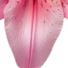 𝗣𝗶𝗻𝗸 𝗔𝗲𝘀𝘁𝗵𝗲𝘁𝗶𝗰 -