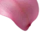 𝗣𝗶𝗻𝗸 𝗔𝗲𝘀𝘁𝗵𝗲𝘁𝗶𝗰 -