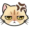 Ruru and Cats -