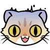 Ruru and Cats -