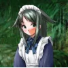 Saya