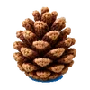 𝗦𝗽𝗼𝗼𝗸𝘆 𝗹𝗲𝘁𝘁𝗲𝗿𝘀 ₍^. .^₎⟆