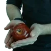 Сумерки
