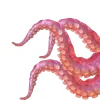 Alphabet from ::