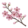 ✧ ✧
