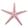 AESTHETIC |