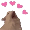 🤍