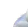 Birds by