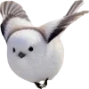 Birds by