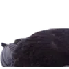 Birds by