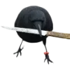 Birds by