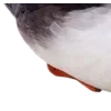 Birds by
