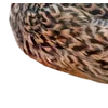 Birds by