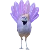 Birds by
