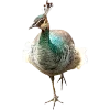 Birds by