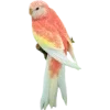 Birds by