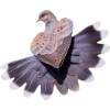 Birds by
