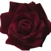 black and red ➜