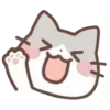 cats ➜