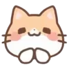 cats ➜