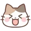 cats ➜