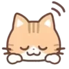 cats ➜