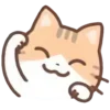 cats ➜