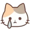 cats ➜