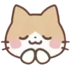 cats ➜