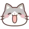 cats ➜